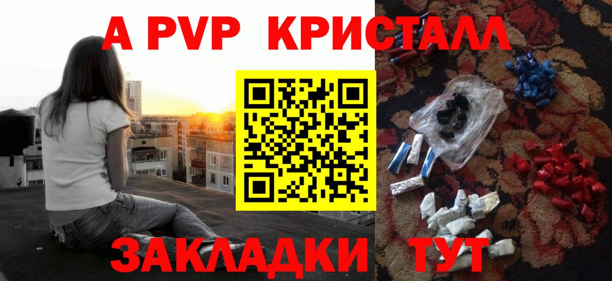 Alfa_PVP СК КРИС Черкесск