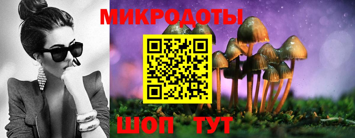 Псилоцибиновые грибы GOLDEN TEACHER Черкесск