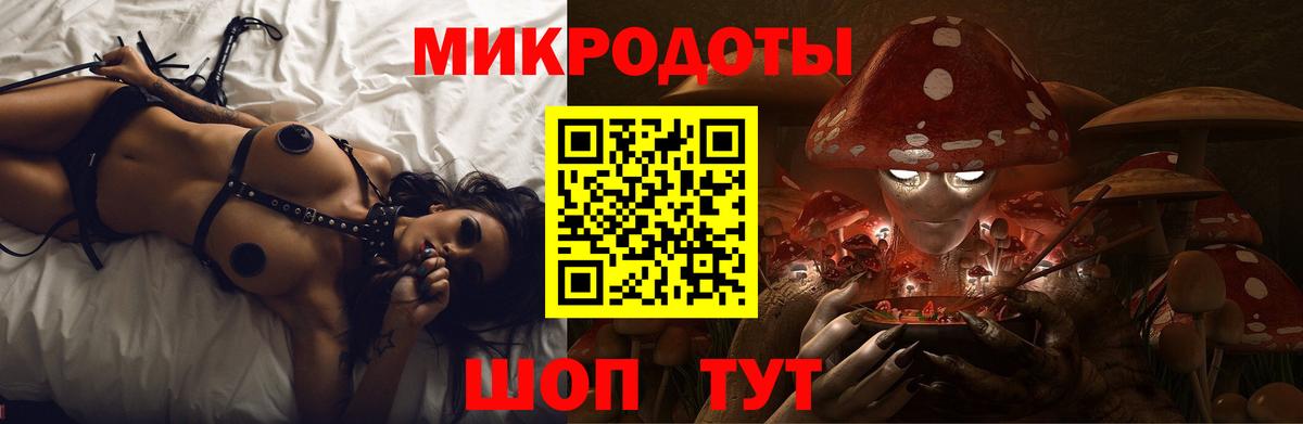 Черкесск  Псилоцибиновые грибы прущие грибы  Вход с VPN 